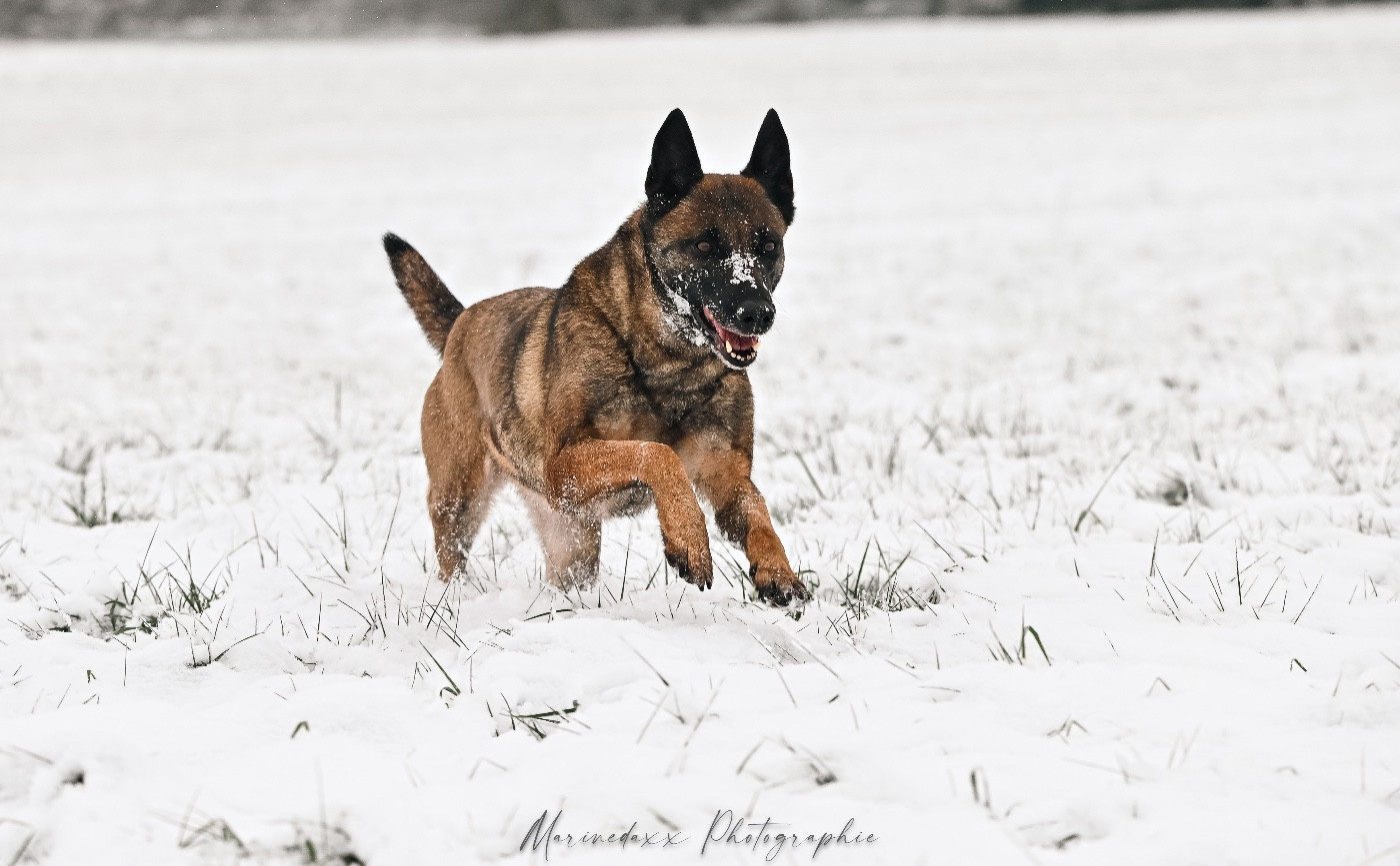 Pink von sempach station