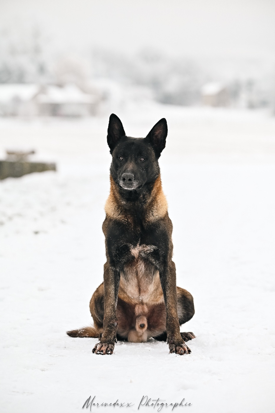 O'mawak de la Roche de l'Empereur