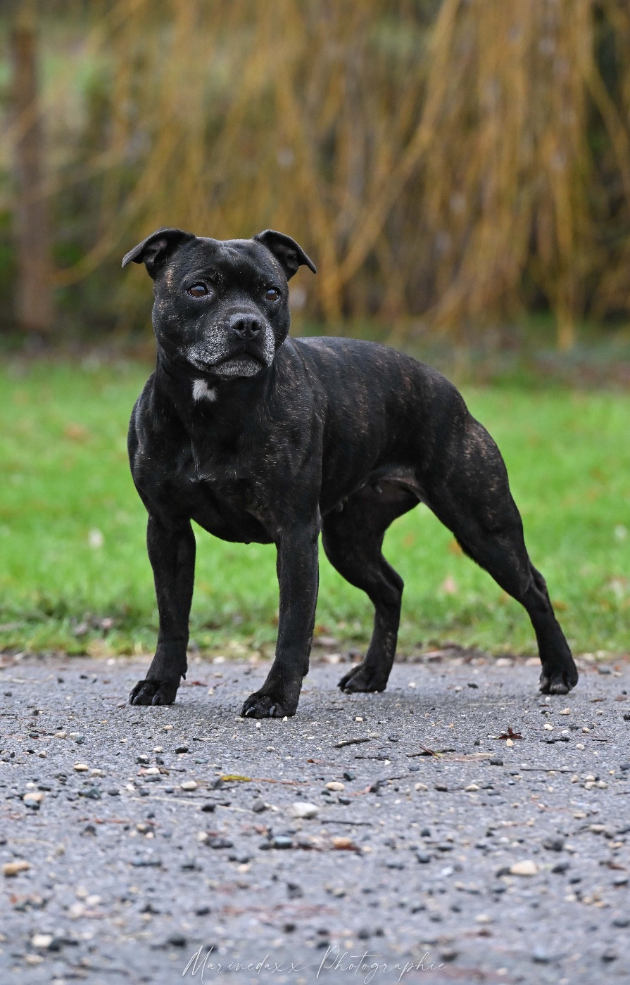 Ready to ride de la Roche de l'Empereur