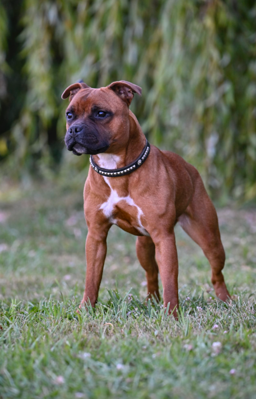 Vamos a la playa de la Roche de l'Empereur